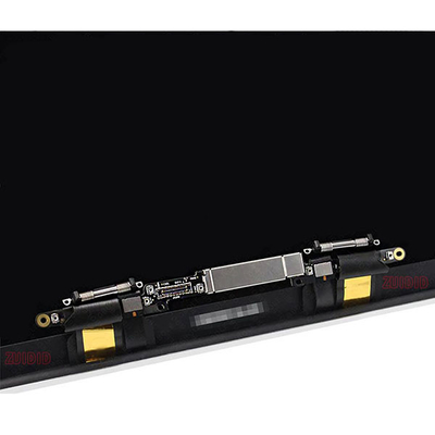 TFT-Anzeigen-Versammlungs-Raum-Grau, Schirm-Ersatz EMC 3456 Macbook A2289