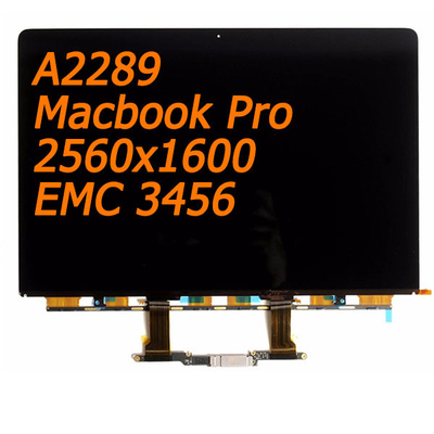 Macbook Pro A2289 Lcd-Schirm-Ersatz voller LCD 2560x1600 EMC 3456